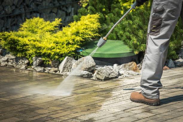 Animal Enclosure Cleaning in Sunrise Manor, NV